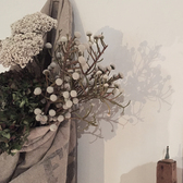 0425-10.jpg
