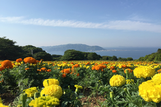 blog0621-13.jpg