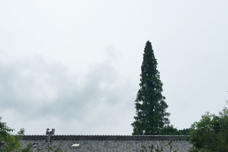 0906017.jpg